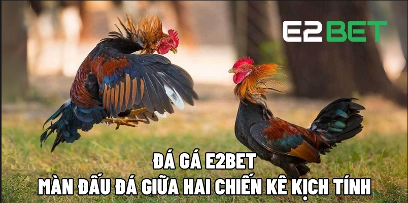 daga e2bet